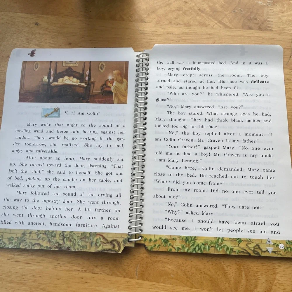 LeapFrog LeapPad Pro Interactive Classics The Secret Garden Book and Cartridge